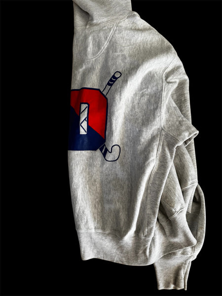 Champion Varsity Hoodie in grey color - front view